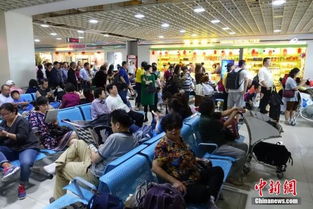 海南出臺商品住宅價格備案新規 備案后半年內不得調高，助力旅游業發展